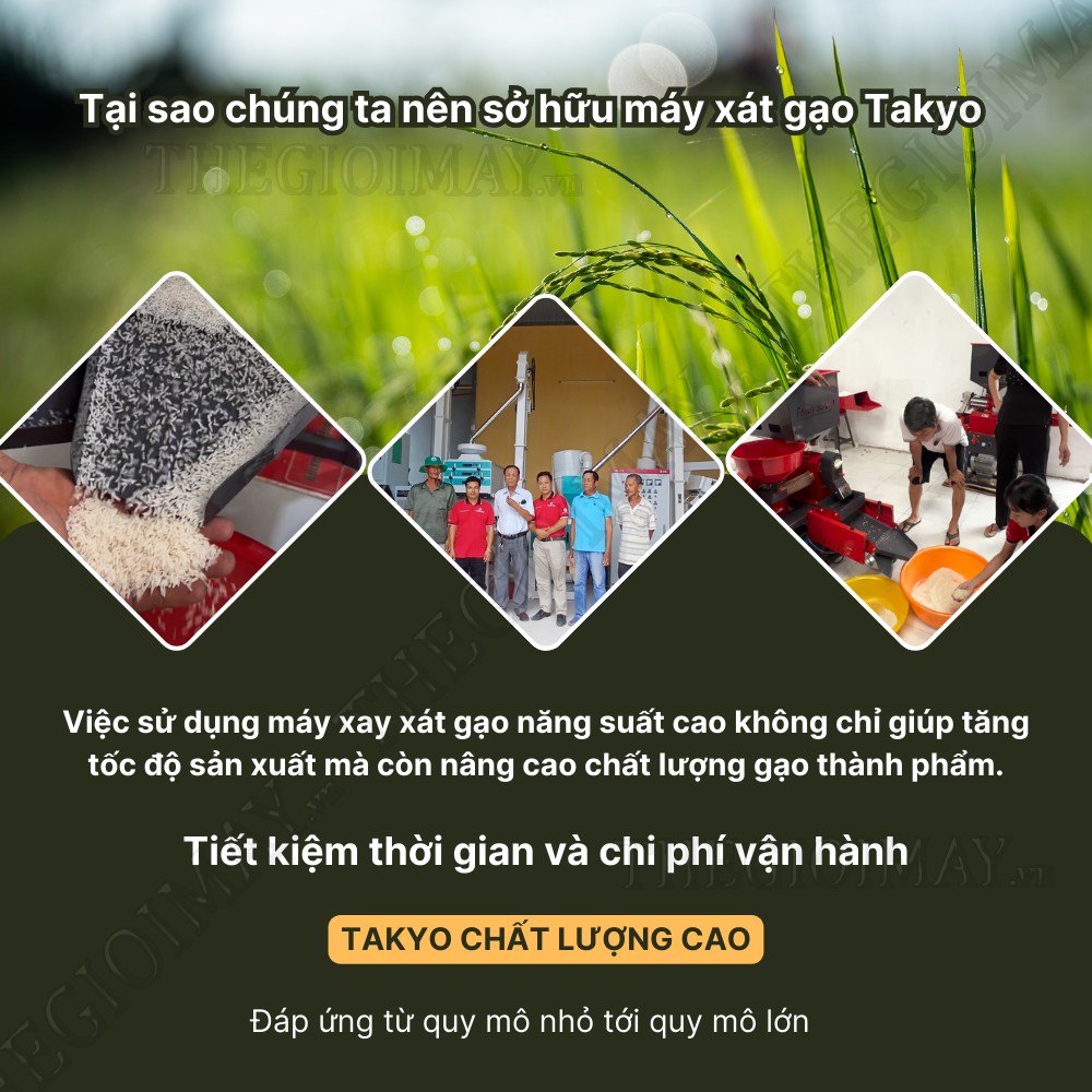 Tìm máy xát gạo năng suất cao cho cơ sở chế biến? Takyo đáp ứng mọi nhu cầu